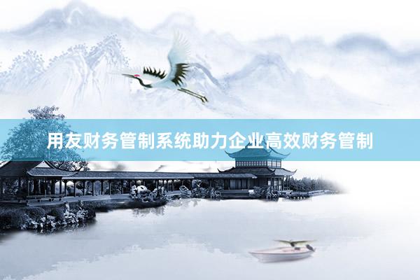 用友财务管制系统助力企业高效财务管制