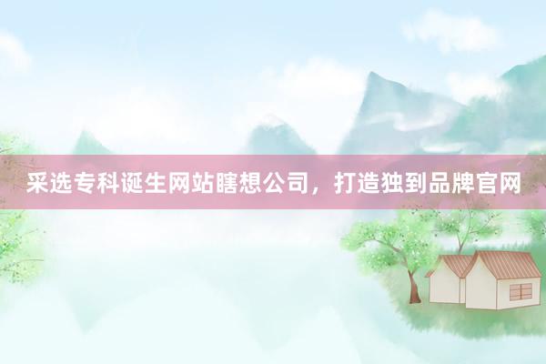 采选专科诞生网站瞎想公司，打造独到品牌官网