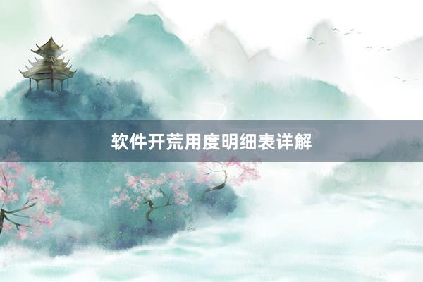 软件开荒用度明细表详解