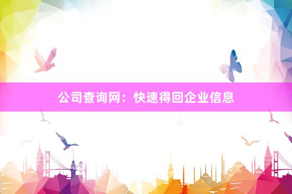 公司查询网：快速得回企业信息
